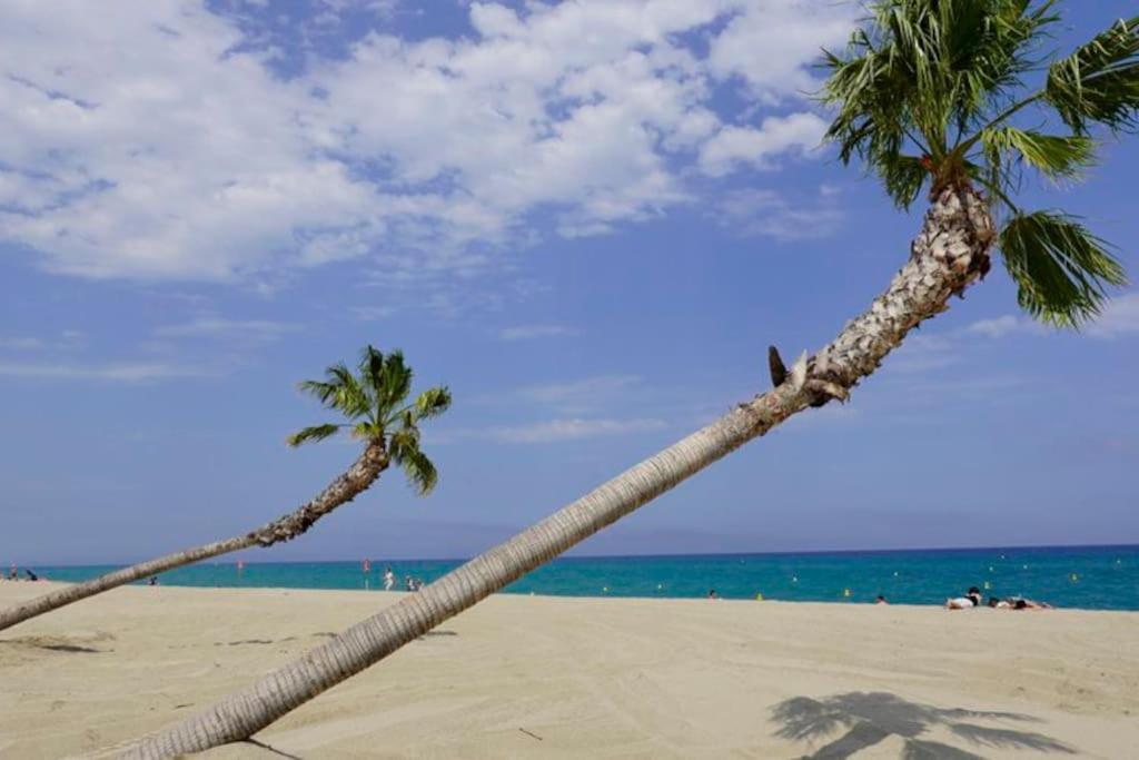 A 500 M De La Plage, Tout Confort Avec Wifi Le Barcarès Buitenkant foto